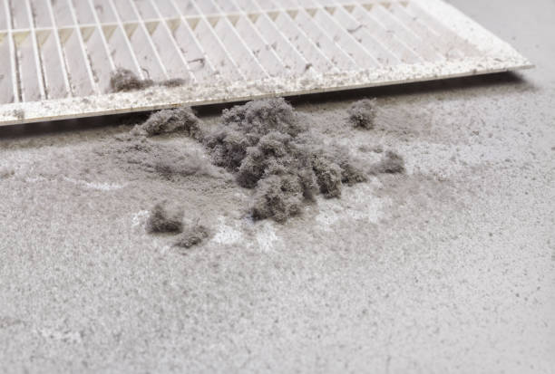 Best Best Air Duct Cleaning Company  in Wink, TX