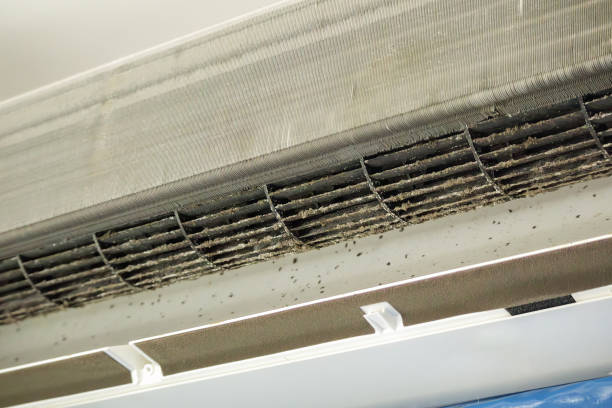Best Air Duct Cleaning Near Me  in Wink, TX