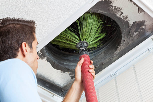 Best Local Air Duct Cleaning Services  in Wink, TX